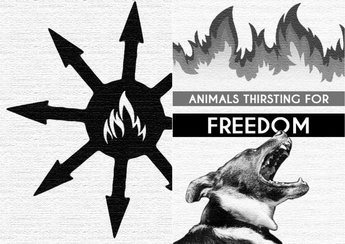 a-t-animals-thirsting-for-freedom-anti-speciesism-1.jpg